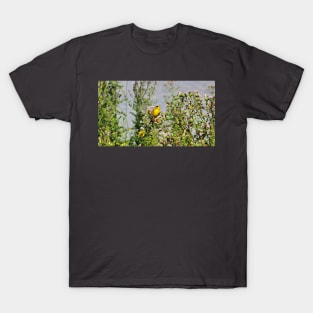 American Goldfinch Perched On Dandelions T-Shirt
